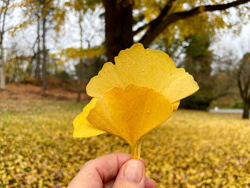 Close-up of hand holding autumn leaf