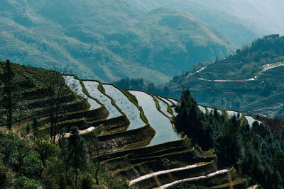 Scenic view of landscape and mountains