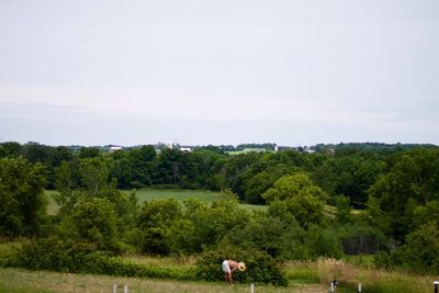 Scenic view of grassy field against sky