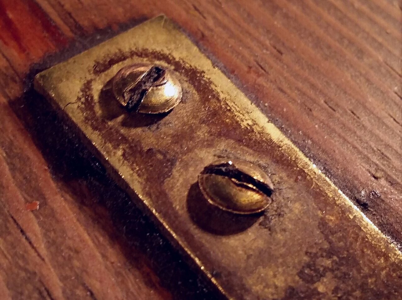 close-up, rusty, high angle view, old, wood - material, metal, indoors, no people, snail, day, weathered, selective focus, run-down, deterioration, wooden, abandoned, one animal, textured, animal themes