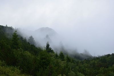 Scenic view of mountains against sky in a misty morning