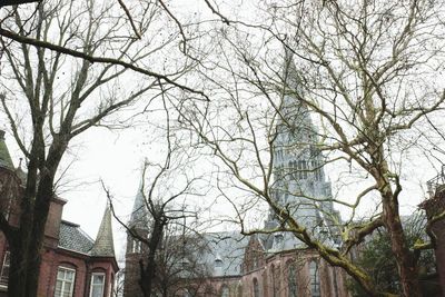 Low angle view of bare trees and buildings against sky