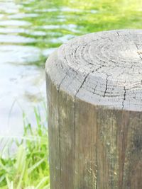 Close-up of wooden post on tree stump