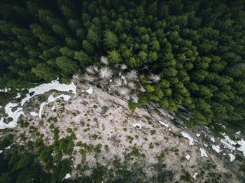 High angle view of waterfall amidst trees in forest