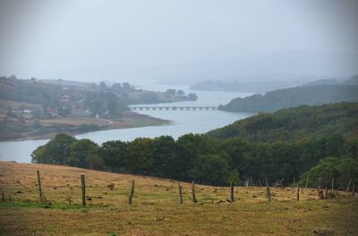 Scenic view of trees on field against sky