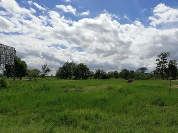 Trees on field against sky