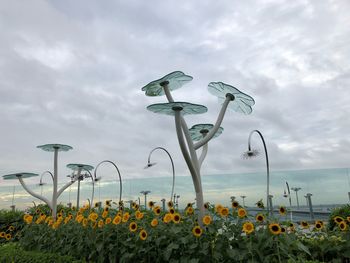 Scenic view of flowering plants against cloudy sky