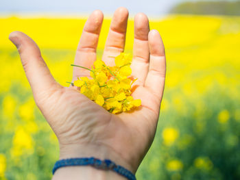 Close-up of hand with yellow flower against sky