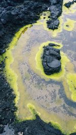 High angle view of yellow water