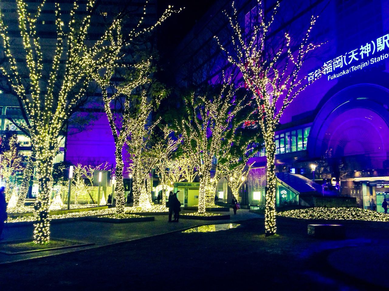 illuminated, night, built structure, architecture, building exterior, tree, lighting equipment, decoration, celebration, multi colored, park - man made space, outdoors, incidental people, light - natural phenomenon, city, branch, glowing, christmas, no people, christmas decoration