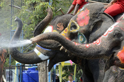 People riding decorated elephants