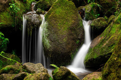 View of waterfall in forest