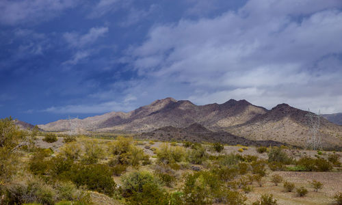 Scenic view of landscape against sky