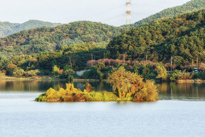 Scenic view of lake by trees against sky