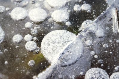 Close-up of stones in water