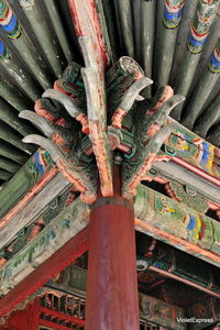 High angle view of multi colored tree trunk