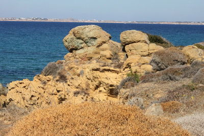 sea