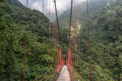 Bridge amidst trees in forest against sky