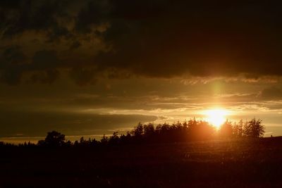 Silhouette trees on field against sky at sunset