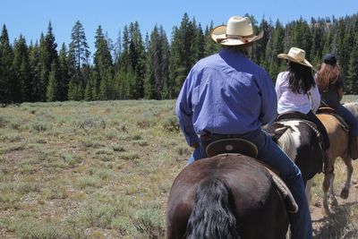 Rear view of people riding horses on field