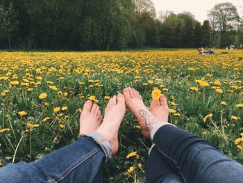 Low section of couple lying on field