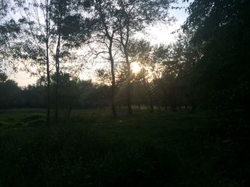 Scenic view of grassy field against sky at sunset