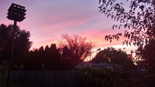 Silhouette of trees at sunset