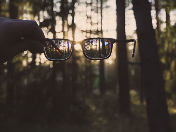 Close-up of hand holding sunglasses against trees