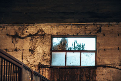 wall