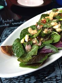 Close-up of food served in plate