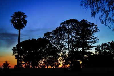 Low angle view of silhouette trees against clear sky