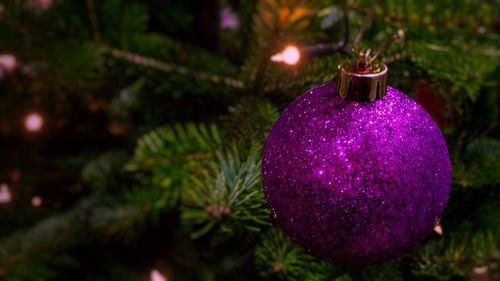 Close-up of illuminated christmas tree