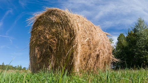 Hay bales on field against sky