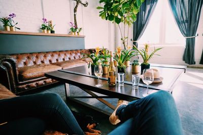 Potted plant on table at home