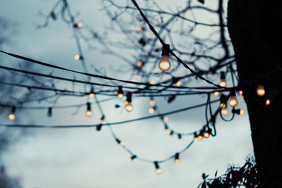 Illuminated light bulbs hanging against sky during dusk