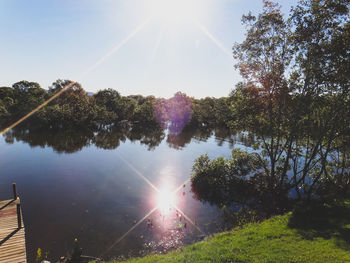 Reflection of trees in water against sky