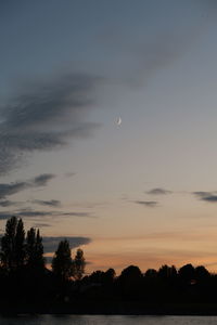 Silhouette trees against sky during sunset