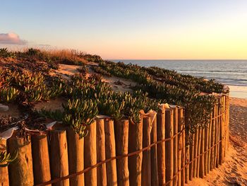 Scenic view of sea against clear sky during sunset