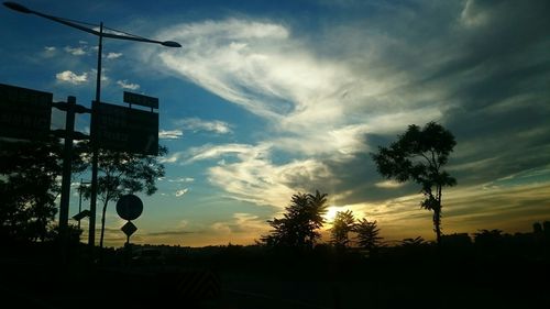 Silhouette of trees at sunset