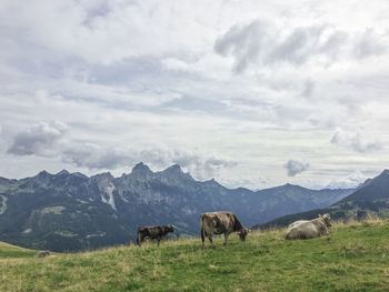 Cows grazing on field against mountains and cloudy sky