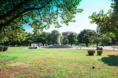 Trees in park