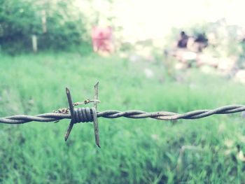 Close-up of barbed wire