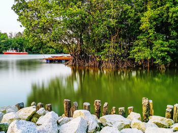 Scenic view of lake by trees