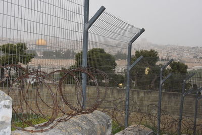 Plants by fence in city against sky