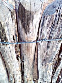 Close-up of wooden wall