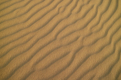 Impressive sand ripple pattern on the sand dune of huacachina desert, ica, peru