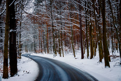 Snow covered road amidst trees during winter