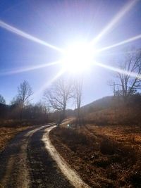 Road amidst bare trees against sky