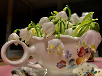 Close-up of white roses on table