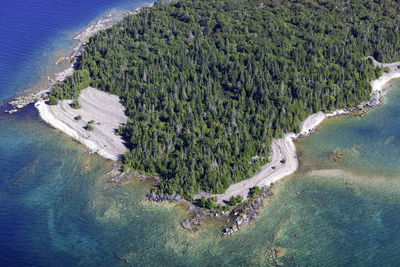 High angle view of plants on beach